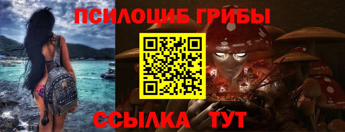 Избербаш  Галлюциногенные грибы MAGIC MUSHROOMS  Галлюциногенные грибы Psilocybine cubensis  Вход с VPN 